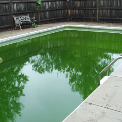 How to turn your pool from green to blue in six simple steps
