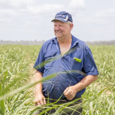 ‘On its knees’: Climate change threatens major industry, farmers in already-struggling Maryborough