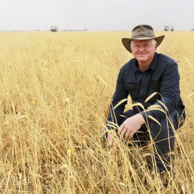 How farmers can help to reforest Australia and suck carbon from the atmosphere