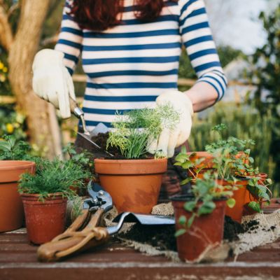 Everything you need to know to start a successful urban garden
