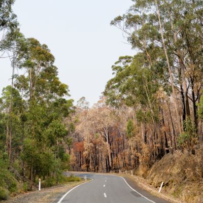Road to recovery: 55 Australian towns to visit to help after the bushfires