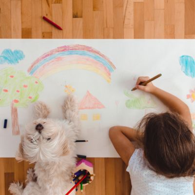 Dogs or kids: Which are more destructive around your home?