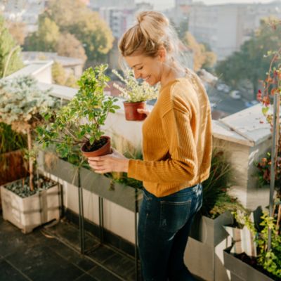 How to create a balcony garden