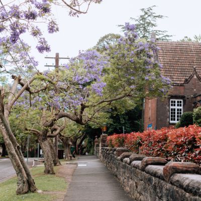 Wahroonga: the upper north shore suburb luring families away from the city