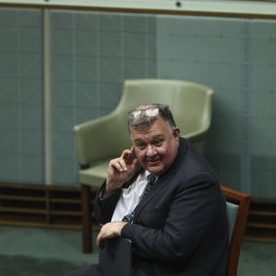 Hughes MP Craig Kelly sells Illawong home for $1,651,000 at auction