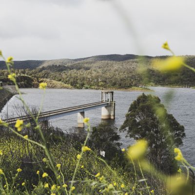 What is the allure of living in Googong?