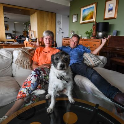 New NSW laws set to allow more apartment owners to keep pets