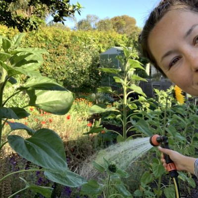 How Amy and David turned their suburban backyard into a thriving food forest