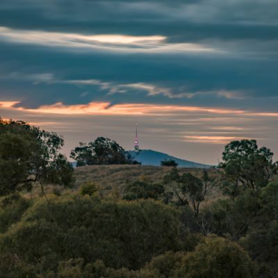 Land in South Jerrabomberra to be auctioned in April