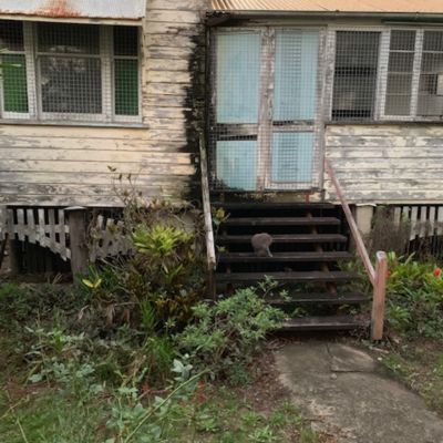 ‘Brisbane’s worst house’: Queenslander transformed from crack den to dream home