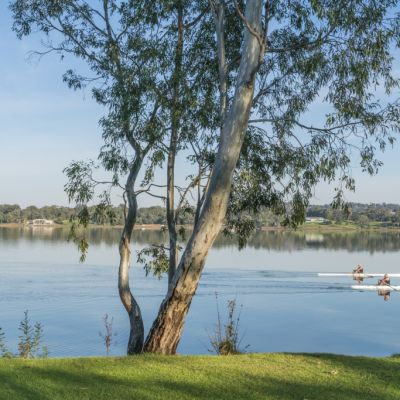 Wagga Wagga: The regional city offering the best of both worlds