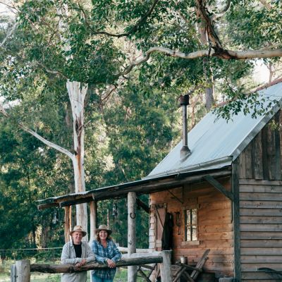 The great shed revival: why thousands are finding solace in the backyard shack