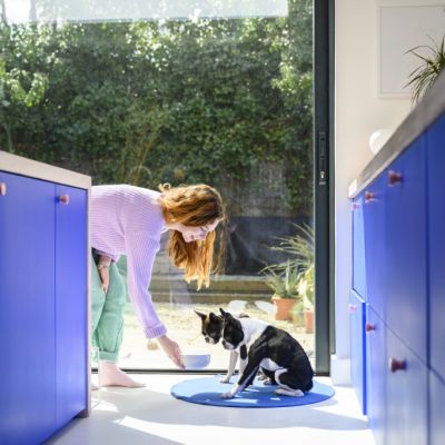 The pet-friendly design trend you’ve never heard of