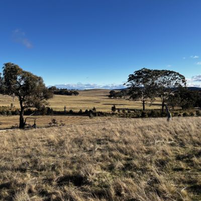 ‘A rural block this close to Canberra’: Spacious blocks in Bywong up for sale