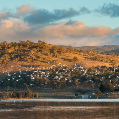 Jindabyne: Does this town have ‘the perfect mix of country charm and city amenities’?