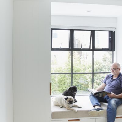 How to get your pets settled in your new property