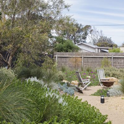 How to choose the right native plants for your backyard