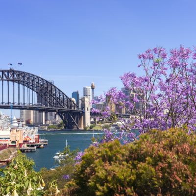 How much would you pay for a view of Sydney Harbour?