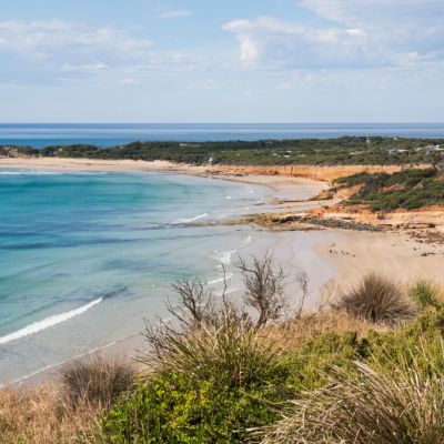 Anglesea: The now bougie beach town formally known as Swampy Creek