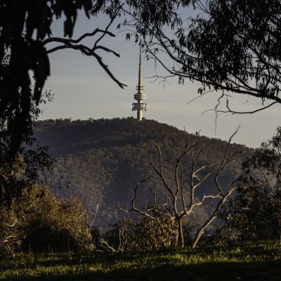 Red Hill: The lush Canberra suburb at the heart of it all