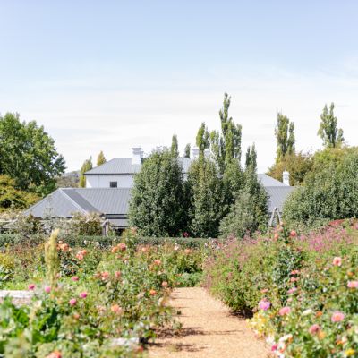 How to plant a romantic wildflower garden
