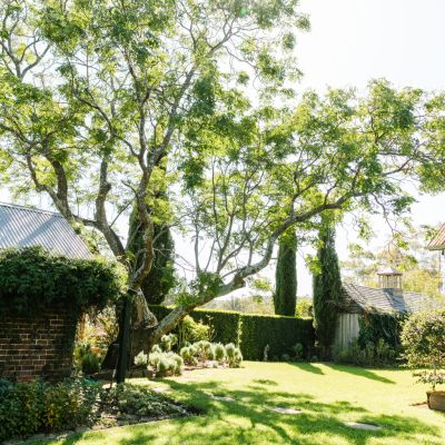 The best types of lawn grass for Aussie homes revealed