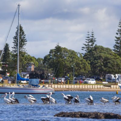 Port Macquarie: The quintessential sun-kissed Aussie coastal town is a haven for outdoor lovers