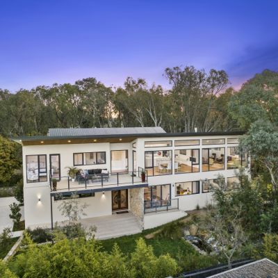 Top tips for living among the tree tops