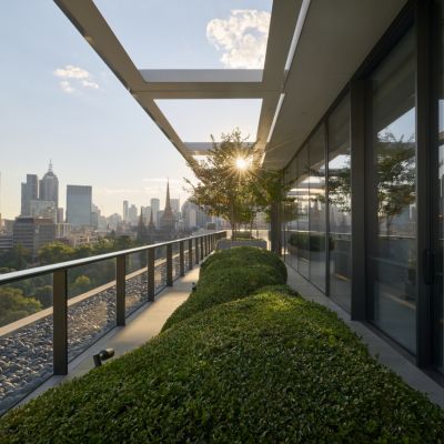 Why more high-end home owners are embracing rooftop gardens