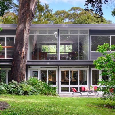 The Lindfield home where you can forest bathe in your own backyard