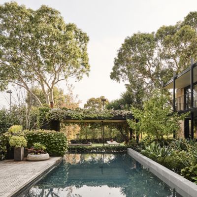 Balwyn beauty: A melding of minds creates design magic in this revamped mid-century home