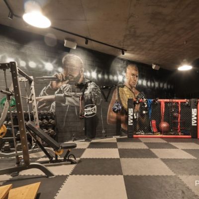 Aussie home for sale has its very own UFC ring in the 'secret bunker'