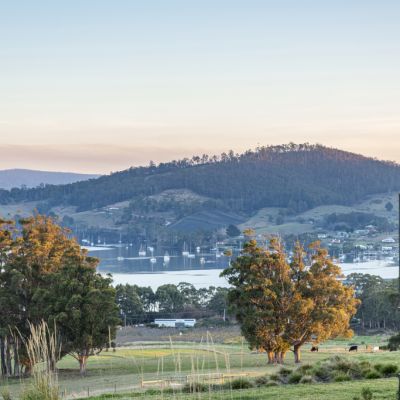This timber-clad Huon Valley home is an 'ode to Scandinavian design'