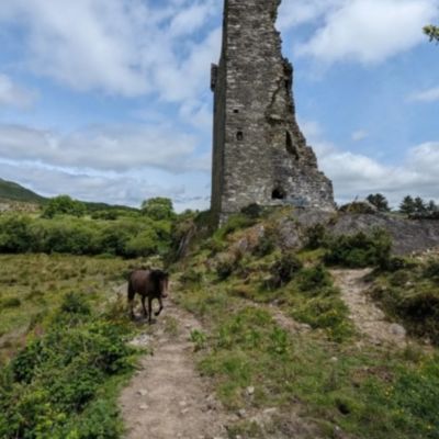 This historic castle is only $300,000...but it's a hazard