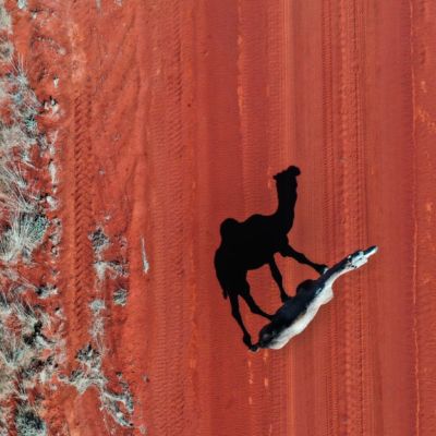 It doesn't cost the (red) earth to buy a house for sale in Alice Springs