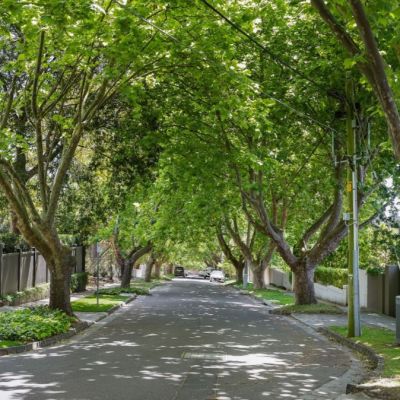 Grass block in Australia’s fifth-richest suburb for sale