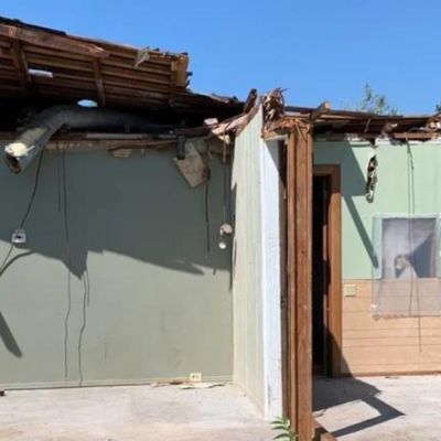 Six-figure discount for 'miracle' house of Monrovia crushed by colossal tree