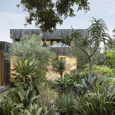How to prevent weeds in your garden bed