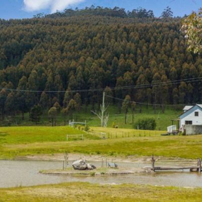 Get paid $100k to live in this Tasmanian cottage