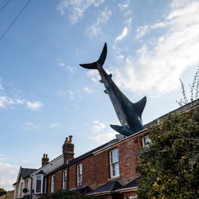 Crazy shark house banned from Airbnb