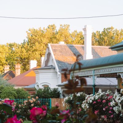 Choose the right flowers and you’ll have a garden that blooms year-round