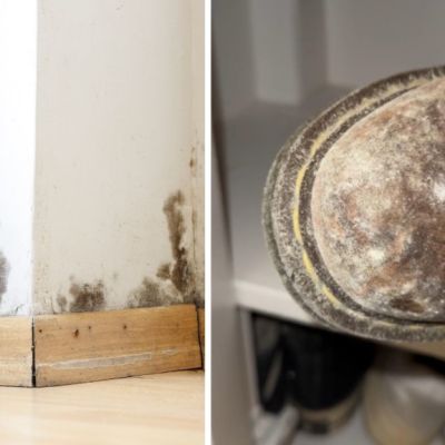 Renter’s possessions destroyed by rampant mould in US home