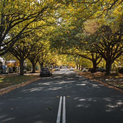 Canberra housing market gathers momentum following rate cuts