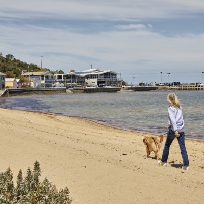 Where you'll find one of the nicest beaches 30 mins from the CBD