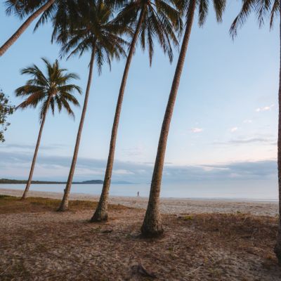 Discover Port Douglas: Gateway to the Great Barrier Reef, Daintree Rainforest and year-round tropical paradise