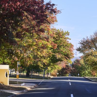 Slow and steady: Agent predictions for Canberra’s spring property market