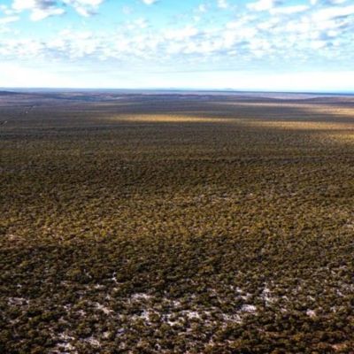 Felicity spent $200,000 on land she cannot live on. Here’s why she doesn't regret it.