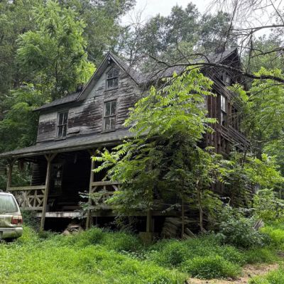 ‘Do not enter’: Abandoned house comes with unusual squatters