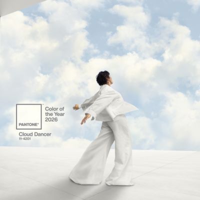 Pantone announced its 2026 Colour of the Year and designers are divided