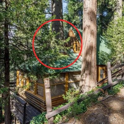 It looks like a normal treehouse, but it’s hiding a wild feature